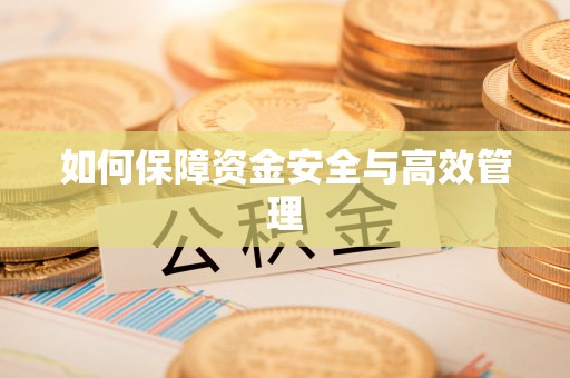 黄圃如何保障资金安全与高效管理