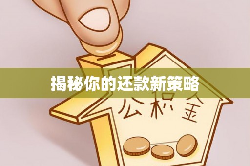 黄圃揭秘你的还款新策略