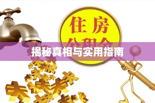 黄圃揭秘真相与实用指南