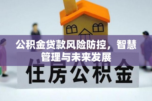 黄圃公积金贷款风险防控，智慧管理与未来发展