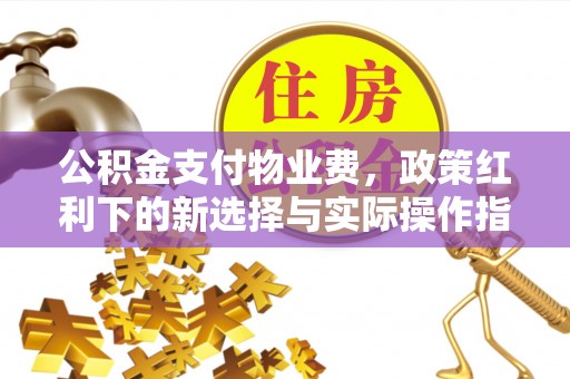 黄圃公积金支付物业费，政策红利下的新选择与实际操作指南