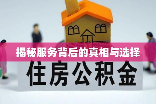 黄圃揭秘服务背后的真相与选择