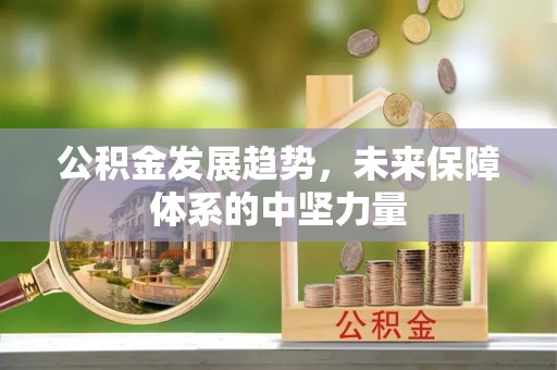 黄圃公积金发展趋势，未来保障体系的中坚力量