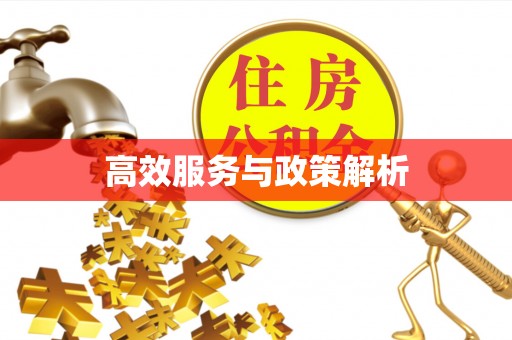 黄圃高效服务与政策解析