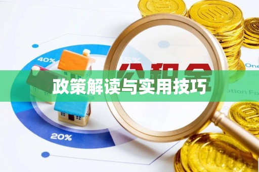 黄圃政策解读与实用技巧