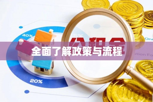 黄圃全面了解政策与流程