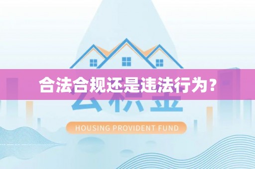 黄圃合法合规还是违法行为？