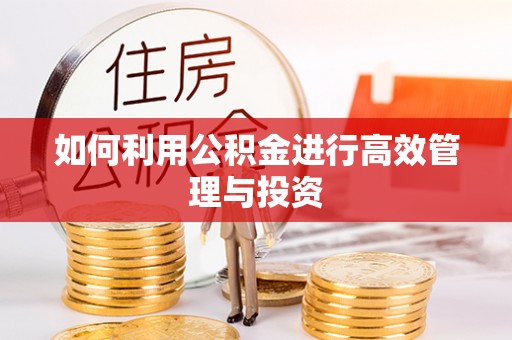 黄圃如何利用公积金进行高效管理与投资