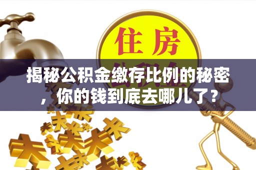 黄圃揭秘公积金缴存比例的秘密，你的钱到底去哪儿了？