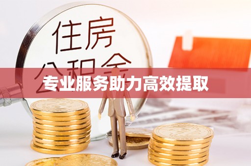 黄圃专业服务助力高效提取